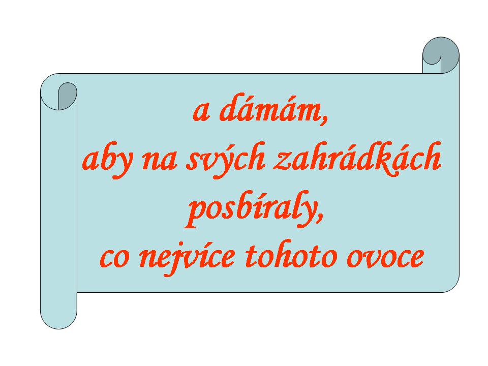 Snímek41