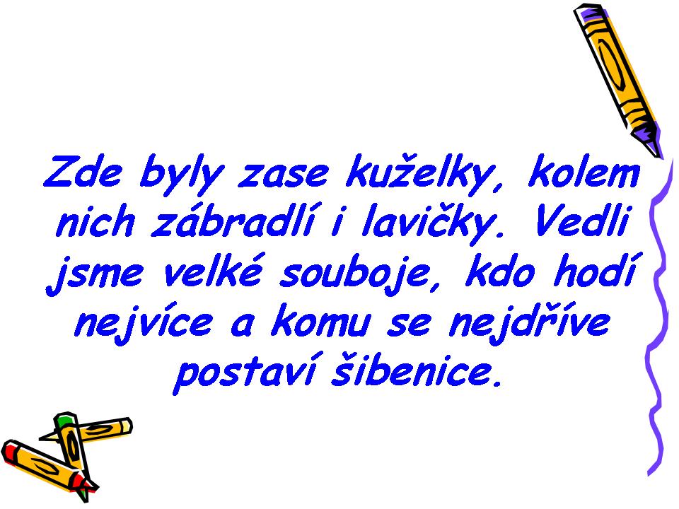 Snímek16