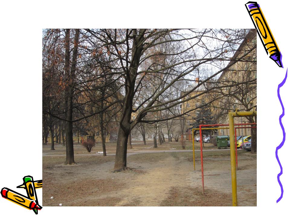 Snímek30